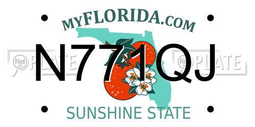 N771QJ Florida License Plate