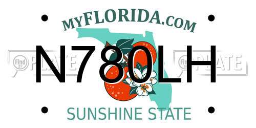 N780LH Florida License Plate