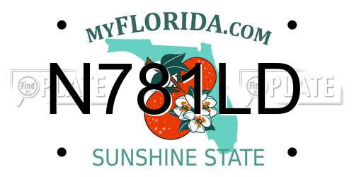 N781LD Florida License Plate