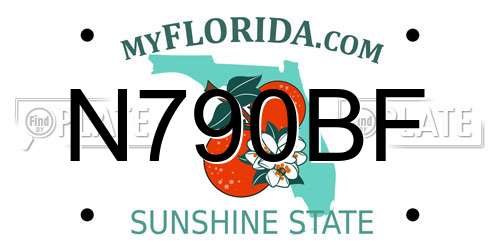N790BF Florida License Plate