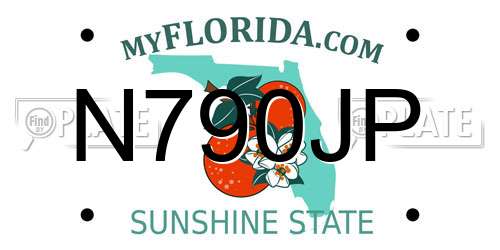 N790JP Florida License Plate