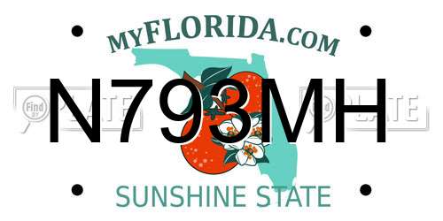 N793MH Florida License Plate