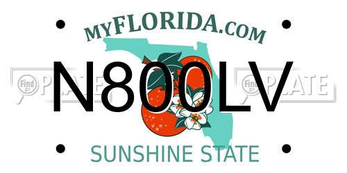 N800LV Florida License Plate