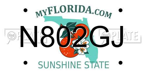 N802GJ Florida License Plate