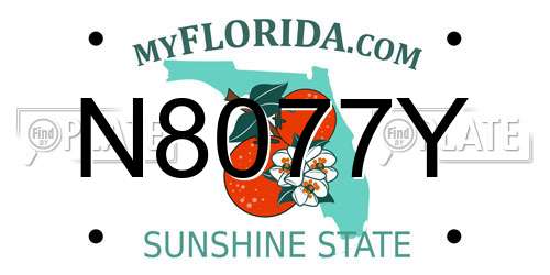 N8077Y Florida License Plate