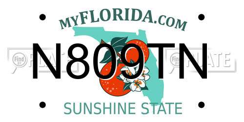 N809TN Florida License Plate