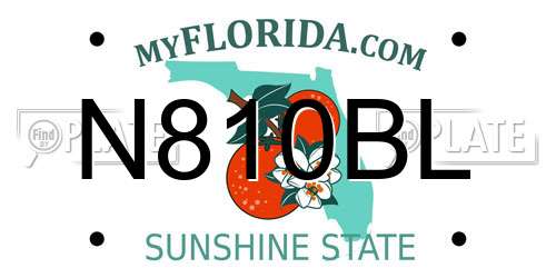 N810BL Florida License Plate