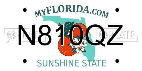 N810QZ Florida License Plate
