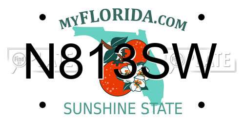 N813SW Florida License Plate