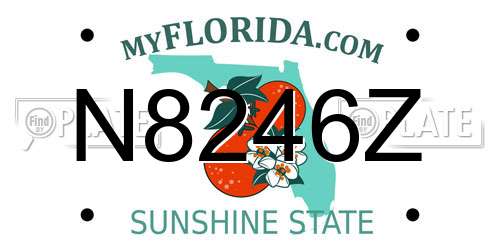 N8246Z Florida License Plate