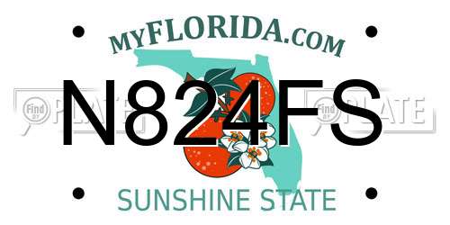 N824FS Florida License Plate