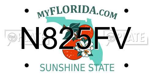 N825FV Florida License Plate