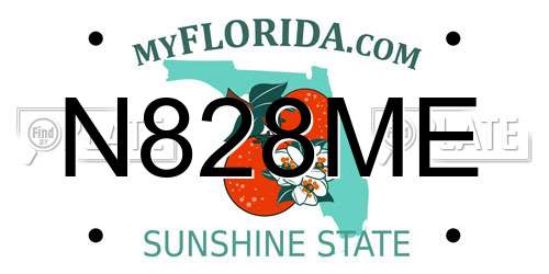 N828ME Florida License Plate