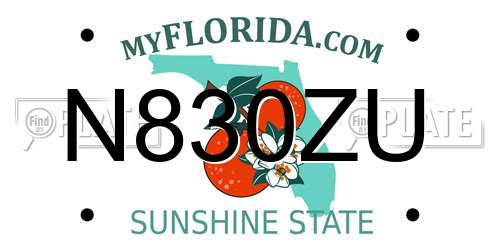 N830ZU Florida License Plate