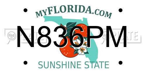 N836PM Florida License Plate