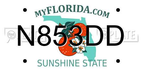 N853DD Florida License Plate