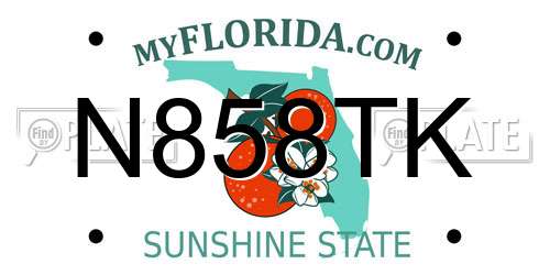 N858TK Florida License Plate