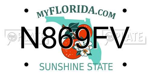 N869FV Florida License Plate