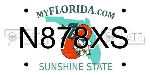 N878XS Florida License Plate