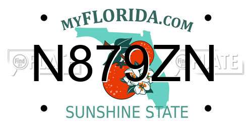 N879ZN Florida License Plate