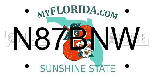 N87BNW Florida License Plate