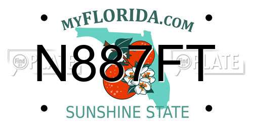N887FT Florida License Plate