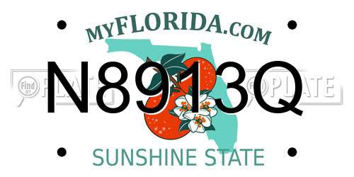 N8913Q Florida License Plate
