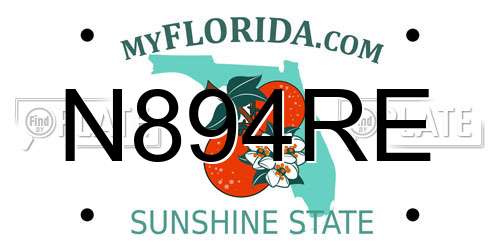 N894RE Florida License Plate
