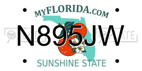 N895JW Florida License Plate