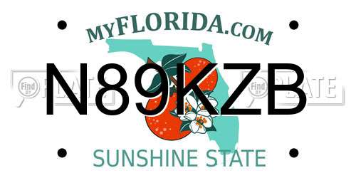 N89KZB Florida License Plate