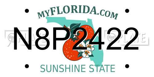 N8P2422 Florida License Plate