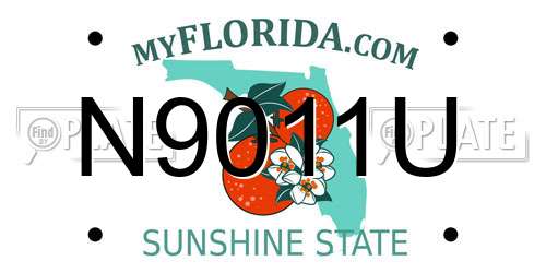 N9011U Florida License Plate
