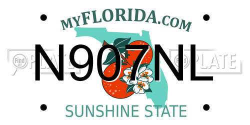 N907NL Florida License Plate
