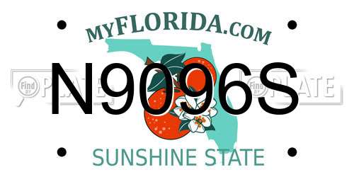 N9096S Florida License Plate