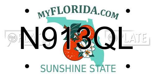 N913QL Florida License Plate