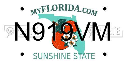 N919VM Florida License Plate
