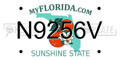 N9256V Florida License Plate