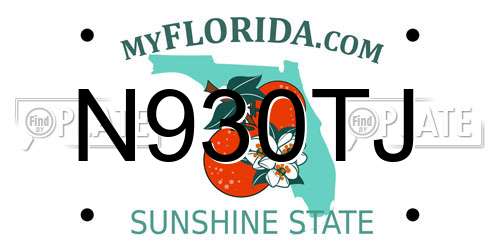 N930TJ Florida License Plate