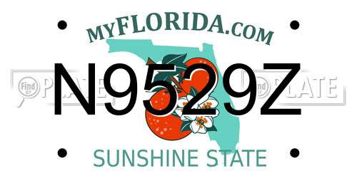 N9529Z Florida License Plate