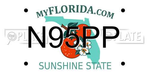 N95PP Florida License Plate