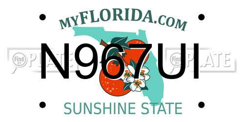 N967UI Florida License Plate