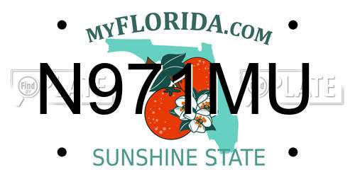 N971MU Florida License Plate