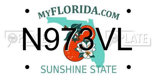 N973VL Florida License Plate