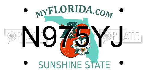 N975YJ Florida License Plate