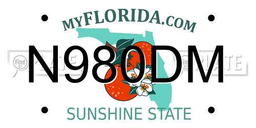 N980DM Florida License Plate
