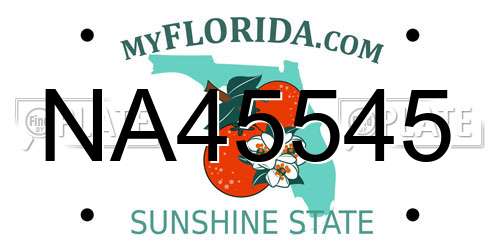 NA45545 Florida License Plate