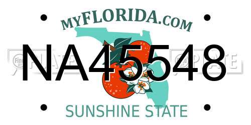 NA45548 Florida License Plate