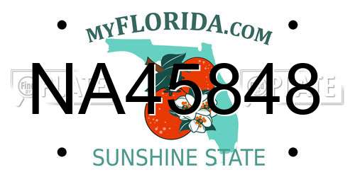 NA45848 Florida License Plate