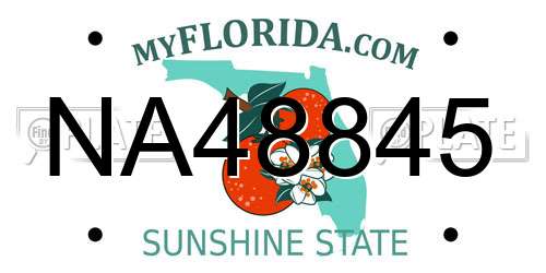 NA48845 Florida License Plate