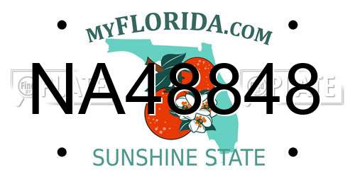 NA48848 Florida License Plate